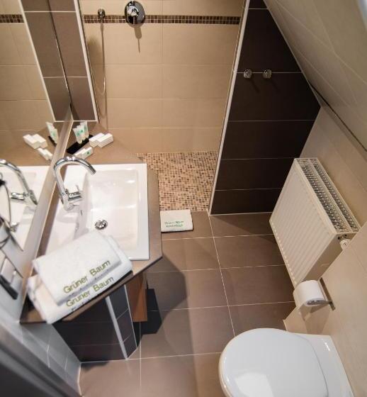 پانسیون Zum Grunen Baum