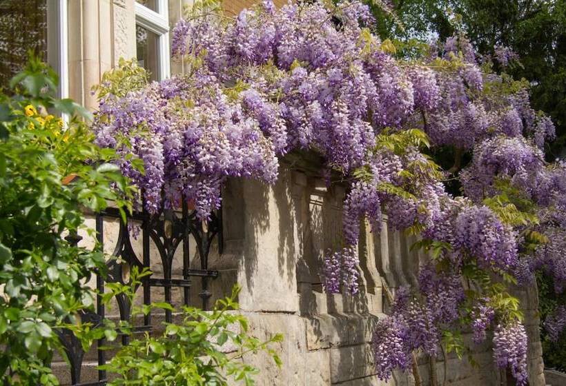 فندق صغير Gastehaus Musmann