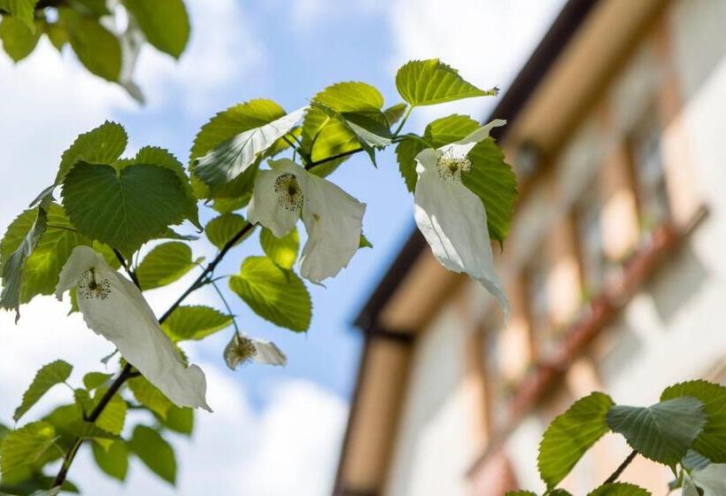 فندق صغير Gastehaus Musmann