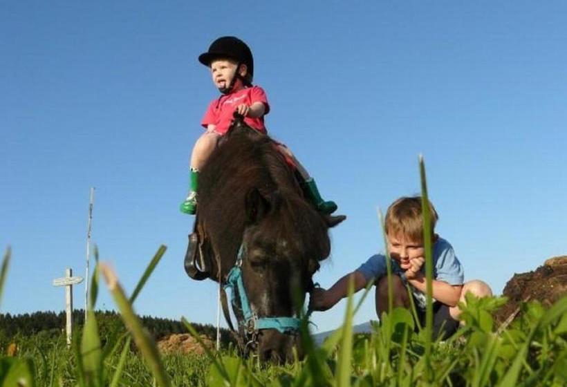 酒店 Almerhof   Waldferienhof Almer