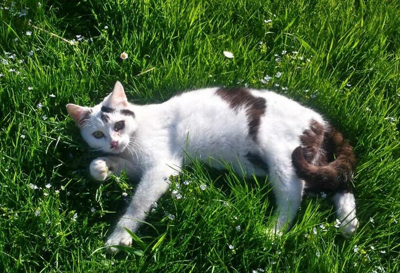 Отель Ferienwohnungen Wanderparadies Bauernhof