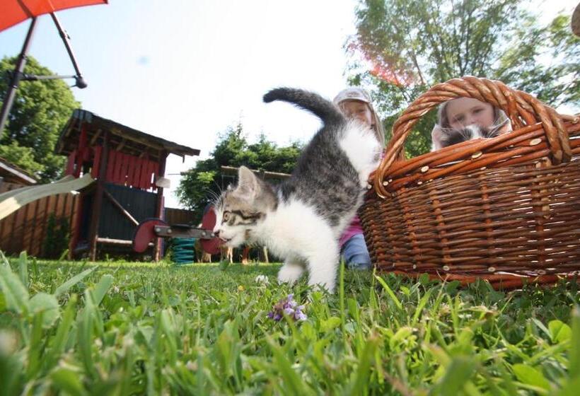 酒店 Gästehaus Herbstbauernhof
