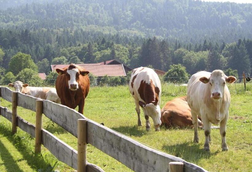酒店 Gästehaus Herbstbauernhof