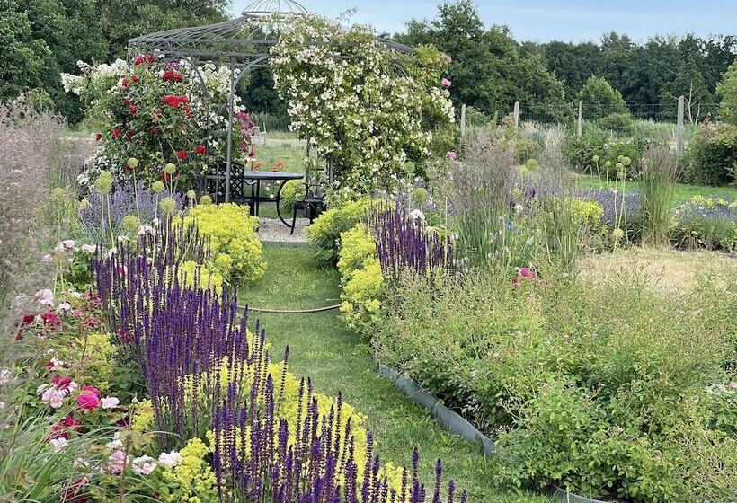 بنسيون Alwine  Landhaus An Den Spreewiesen