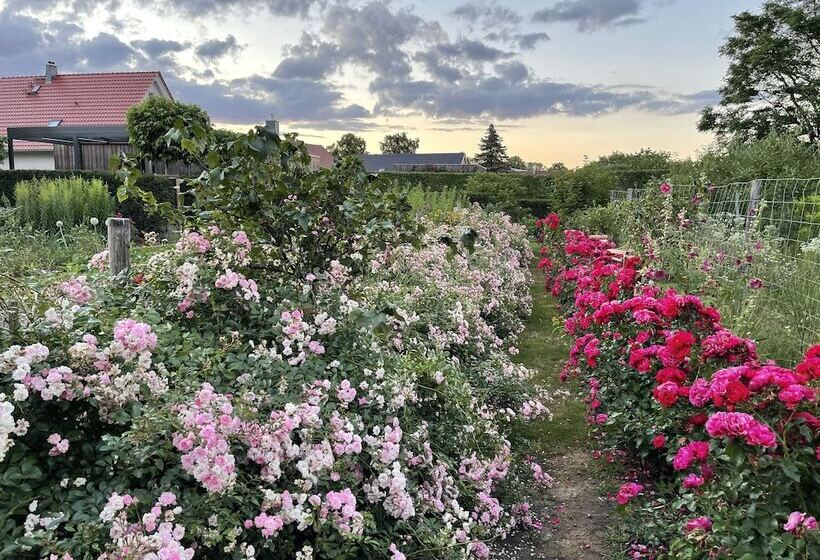 بنسيون Alwine  Landhaus An Den Spreewiesen