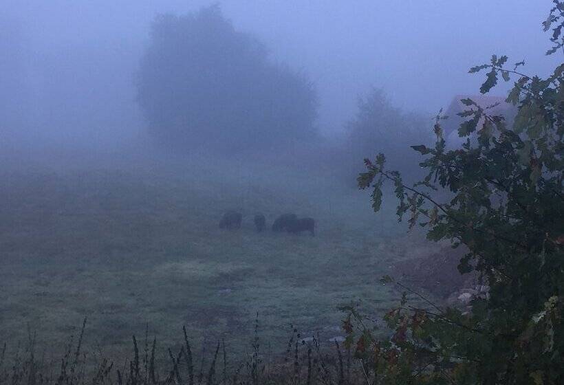 بنسيون Alwine  Landhaus An Den Spreewiesen