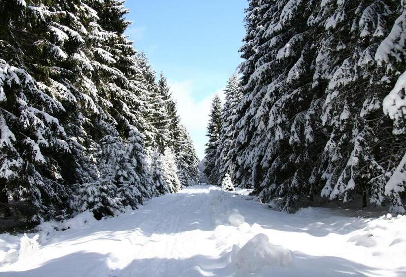 Pension Zum Alten Rathaus