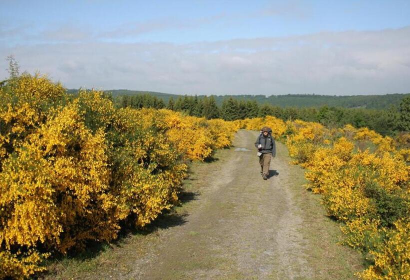 Pension Zum Alten Rathaus