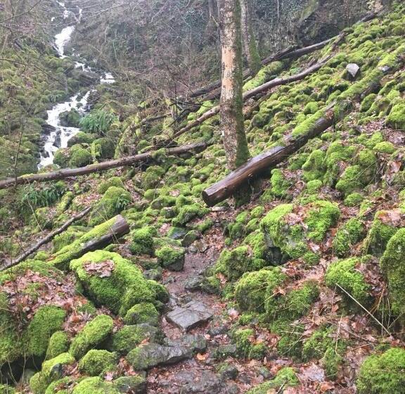 Pension Zum Alten Rathaus