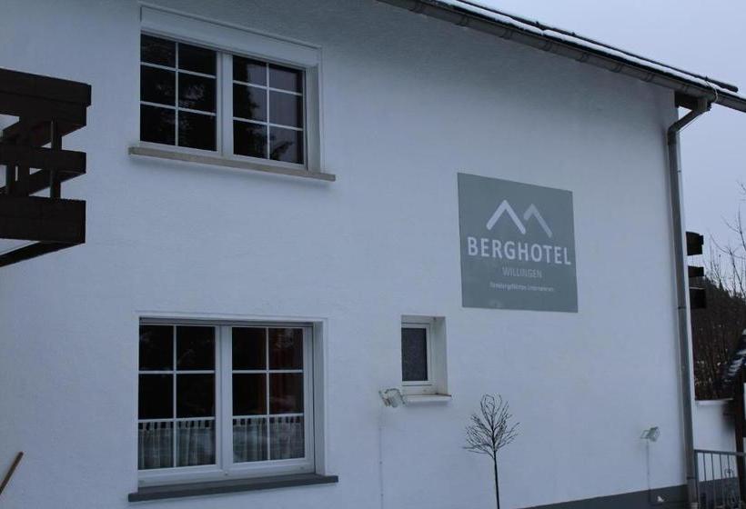 Общежитие Berghotel Willingen