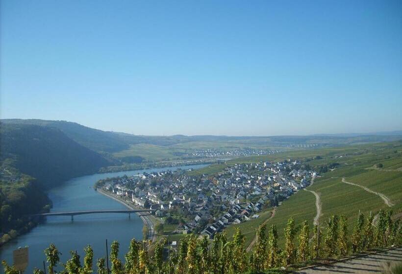 فندق صغير Gasthaus Zur Rebe