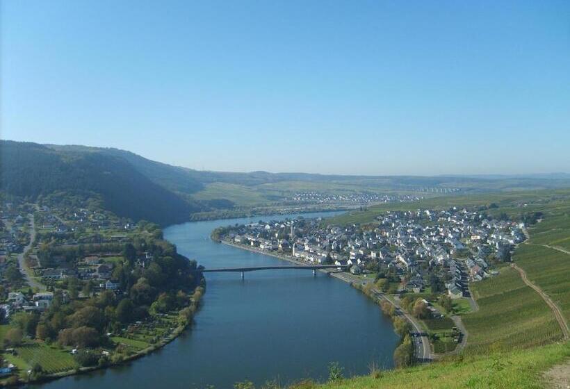 فندق صغير Gasthaus Zur Rebe