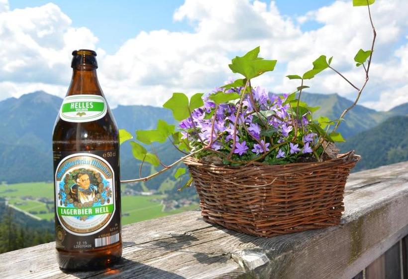 호스텔 Schwaigeralm