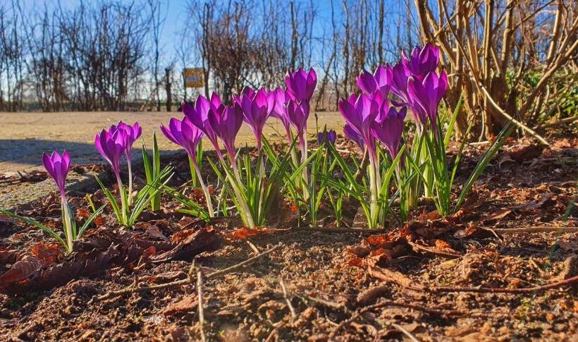 فندق Ferienbauernhof De Slaaphoeve