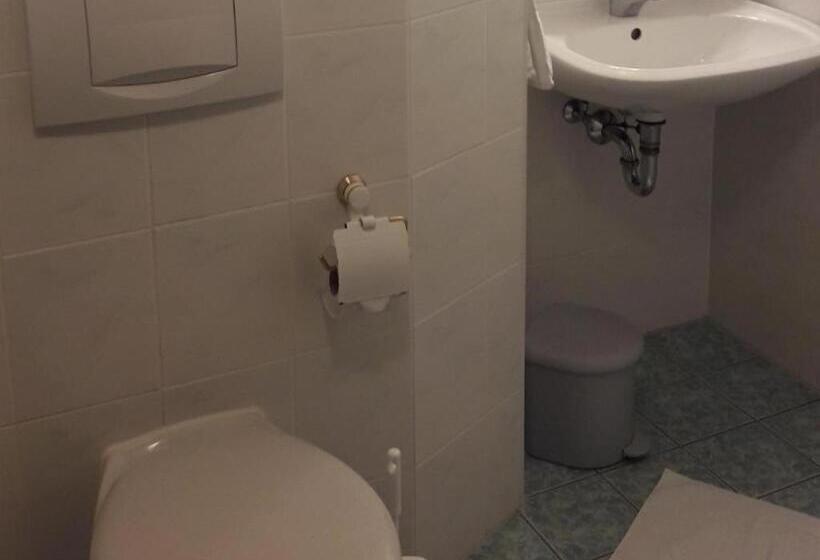 Отель Triembachhof