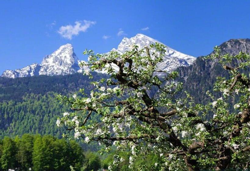 Отель Triembachhof