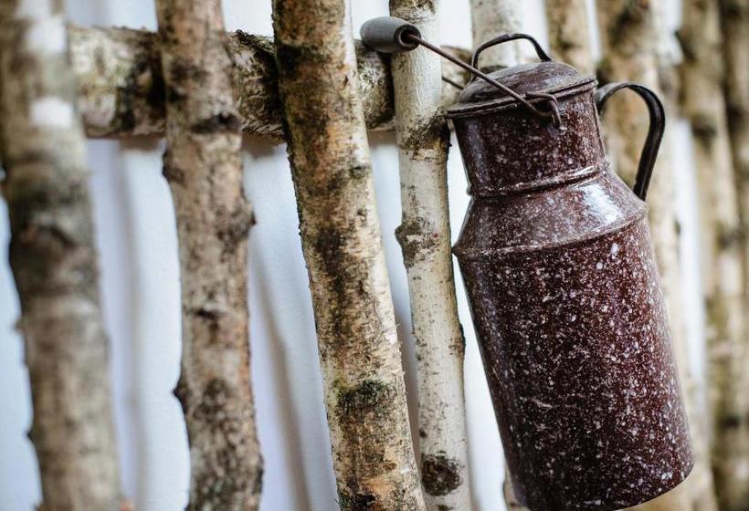 호텔 Urlaub Am Regen – Ferienhof Dirnberger