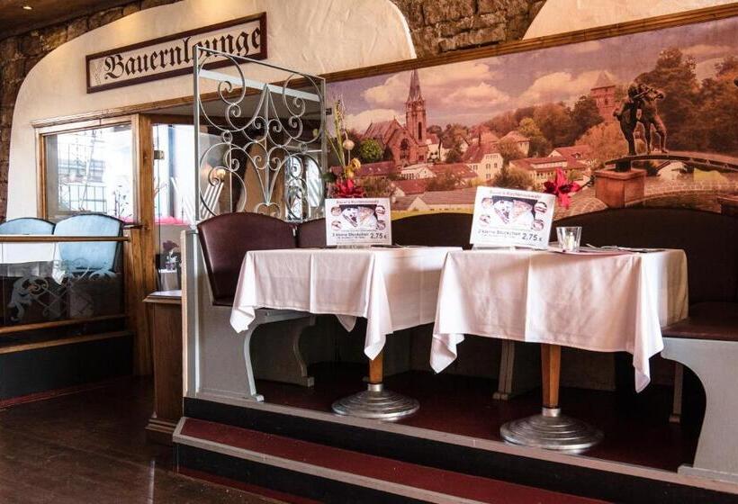 Пансион Bauer Schmidt Weilerbach Bauer`s Budget