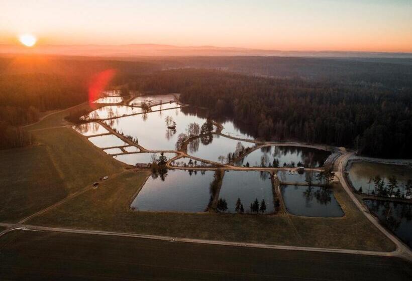 ペンション Fischhof Beer