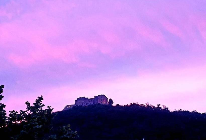 펜션 Gästehaus Rebenhof