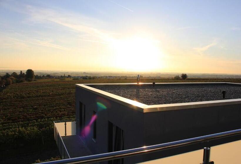 펜션 Gästehaus Rebenhof