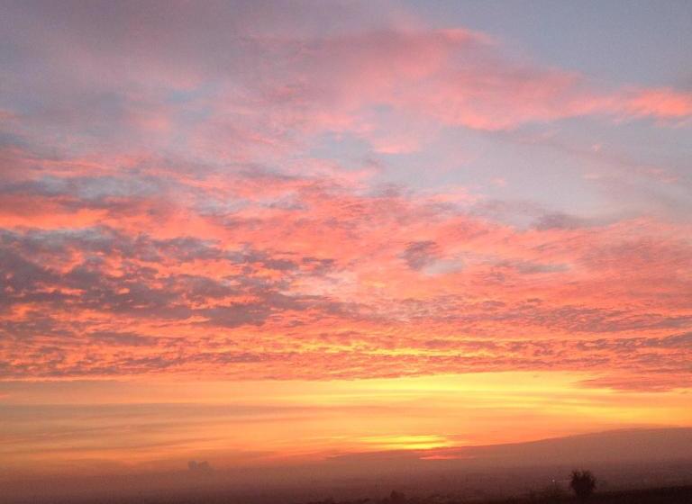 펜션 Gästehaus Rebenhof