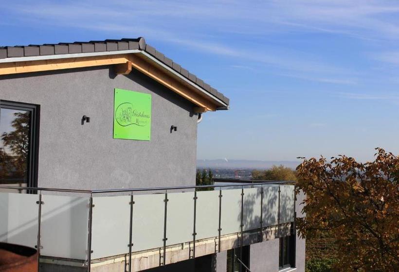 펜션 Gästehaus Rebenhof