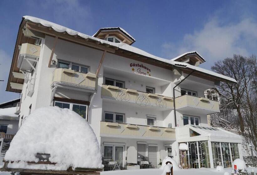 Pension / Fw Gästehaus Stern