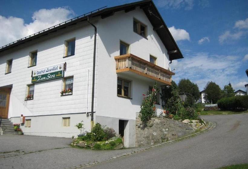 Pension Zum Lusenblick