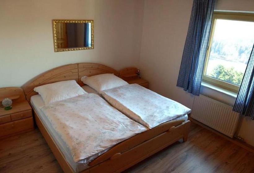 Pension Zum Lusenblick