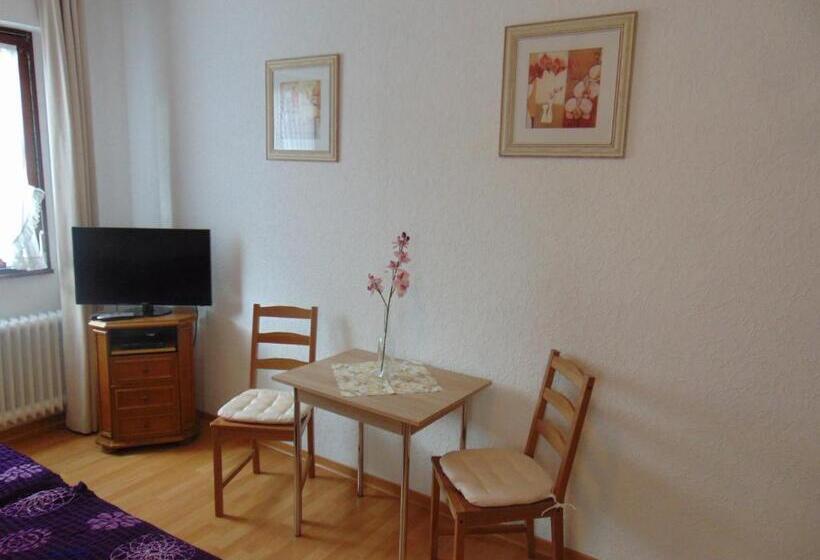 הוסטל Gasthaus Rebstock