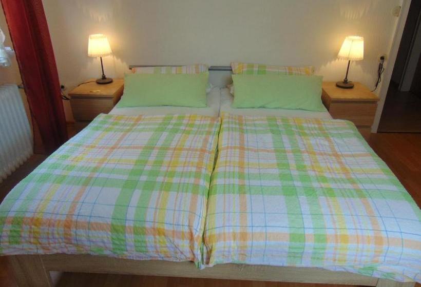 הוסטל Gasthaus Rebstock