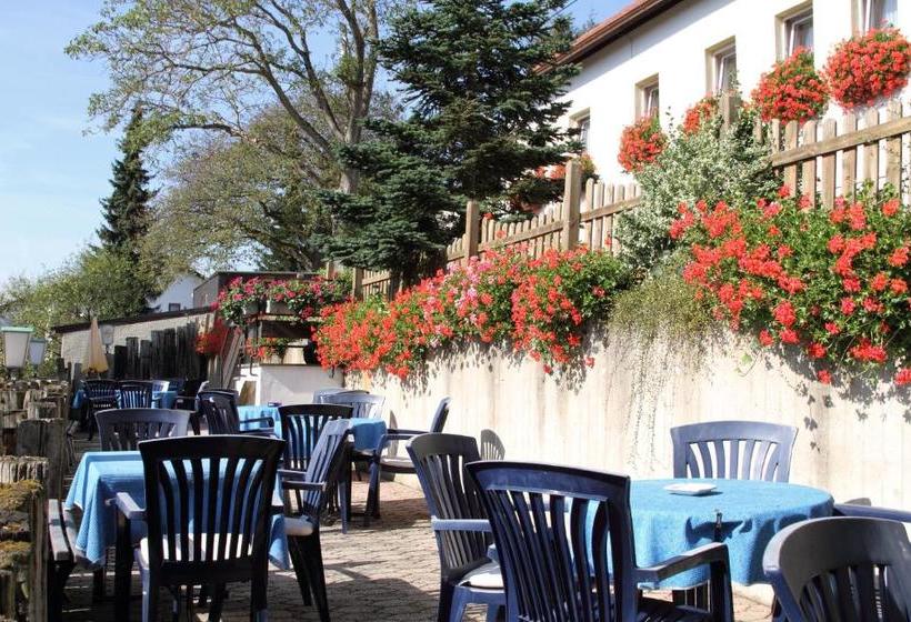 호스텔 Haus Sonnenschein