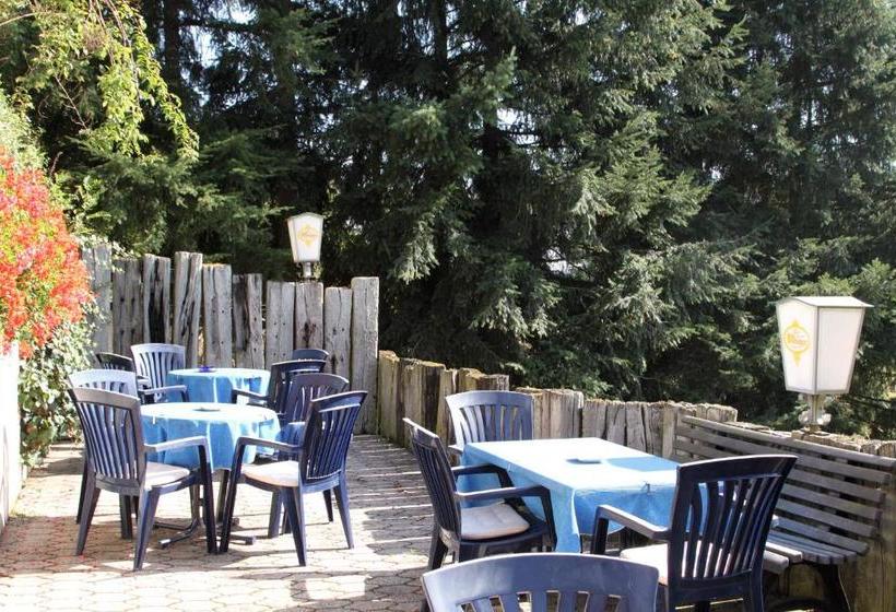 호스텔 Haus Sonnenschein