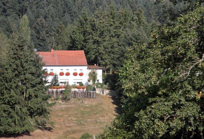 호스텔 Haus Sonnenschein