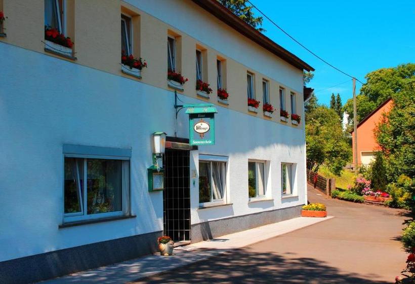 호스텔 Haus Sonnenschein