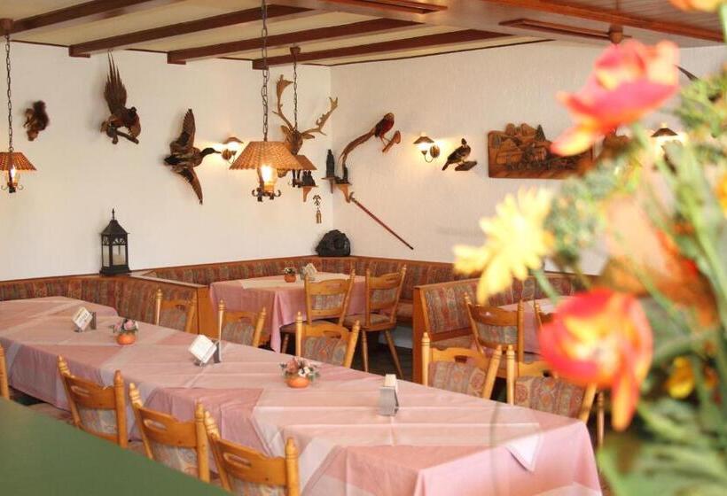 호스텔 Haus Sonnenschein