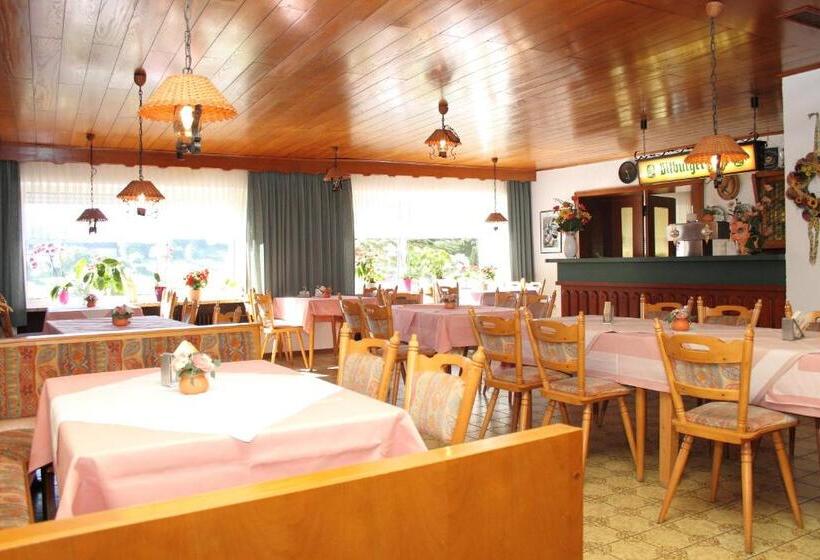 호스텔 Haus Sonnenschein