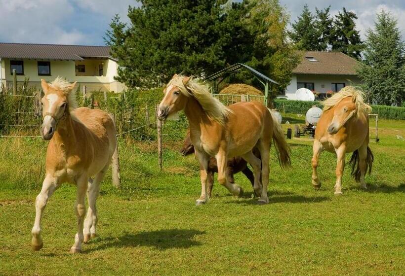 호스텔 Haus Sonnenschein