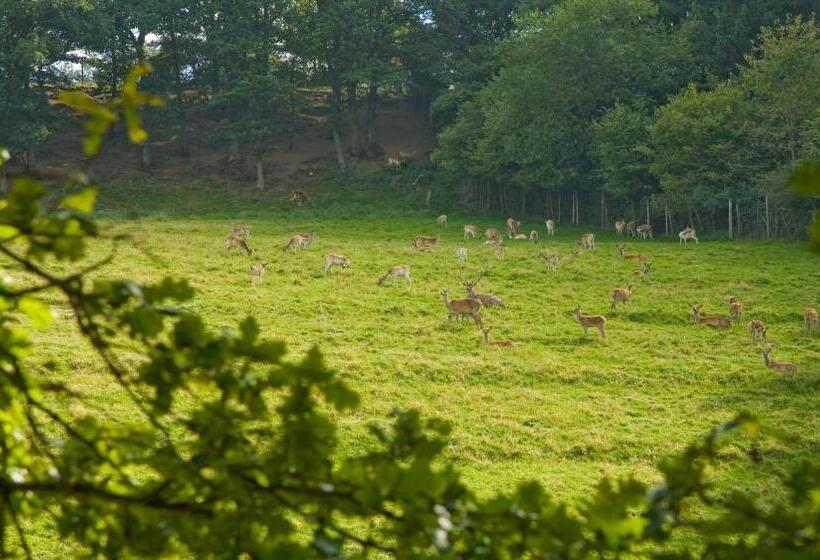 호스텔 Haus Sonnenschein