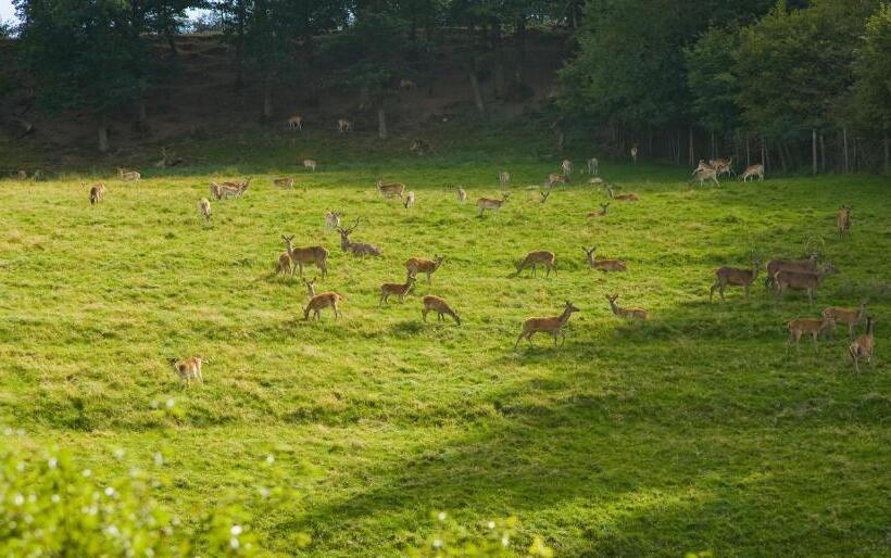 ユースホステル Haus Sonnenschein