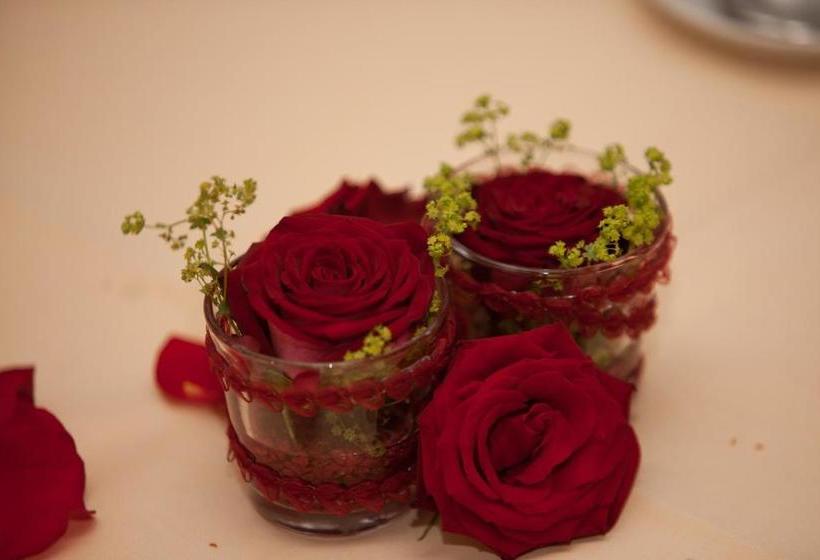 Gasthof & Pension Zum Saalestrand