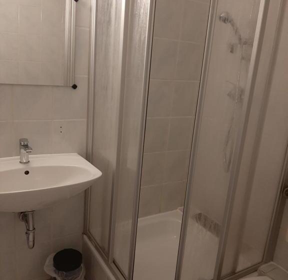 Gasthof & Pension Zum Saalestrand