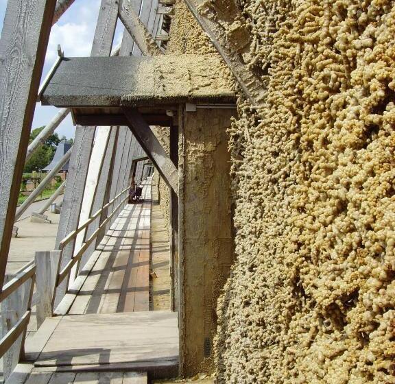 Gasthof & Pension Zum Saalestrand