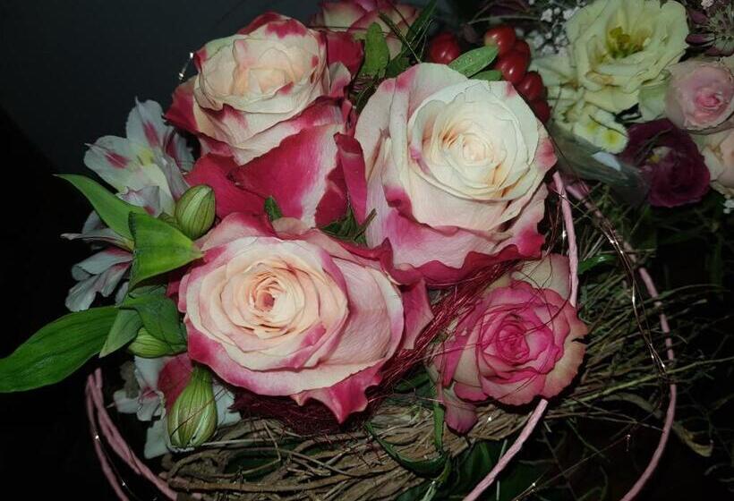 Gasthof & Pension Zum Saalestrand