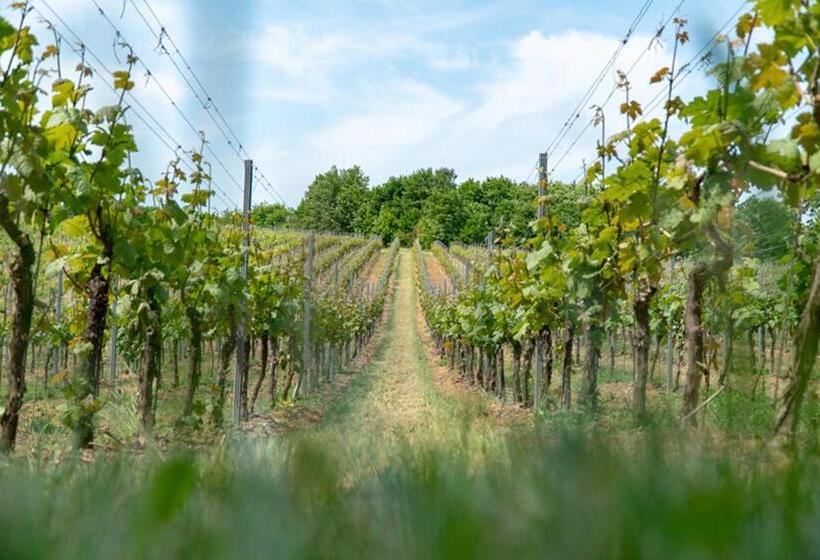 Naumburger Wein & Sekt Manufaktur   Pension 1824