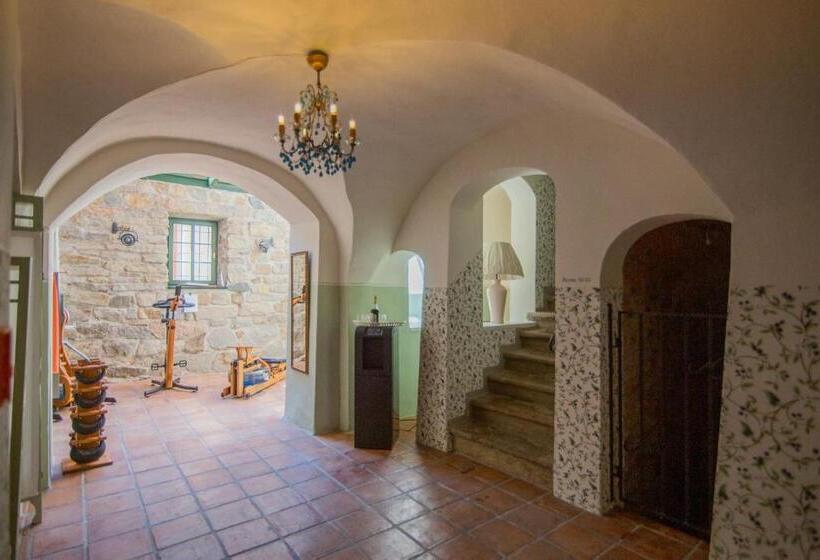 ペンション Apartone Altstadt