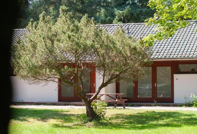 Пансион Campushus