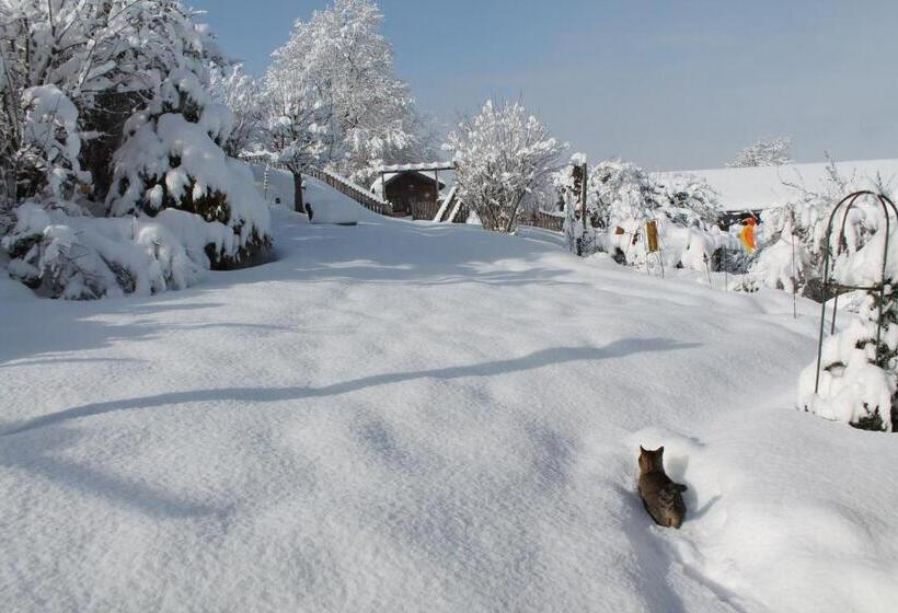 펜션 Gästehaus Fidelis