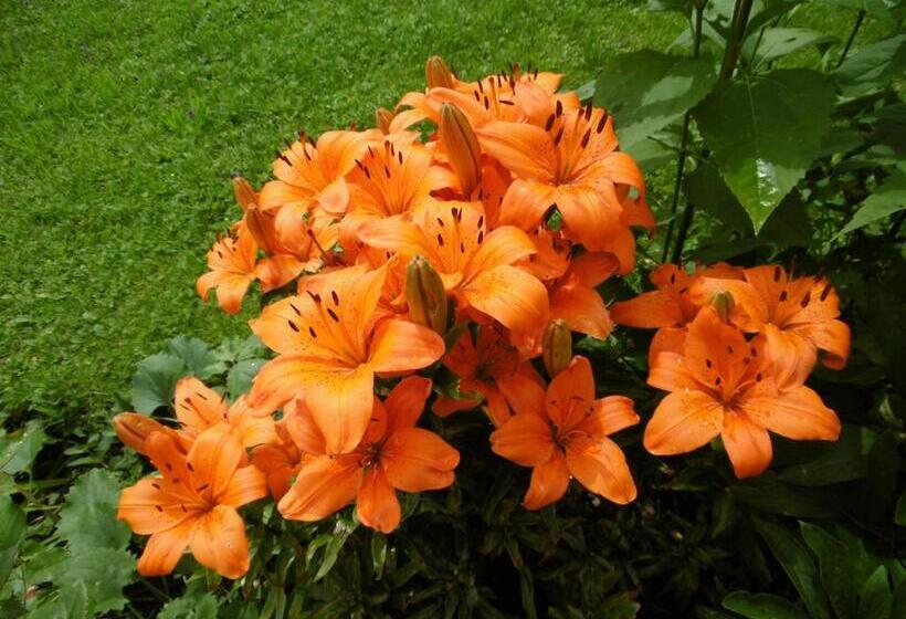 펜션 Haus Kehlstein